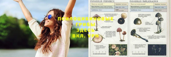 MDMA Premium VHQ Беломорск