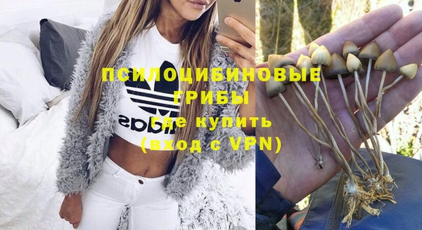 спайс Белокуриха