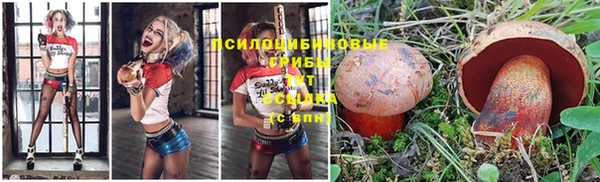 спайс Белокуриха