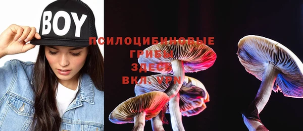 спайс Белокуриха