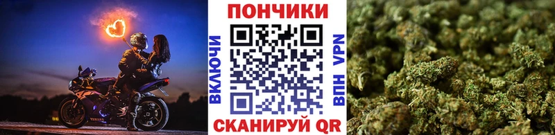 Каннабис гибрид  где продают   Энем 